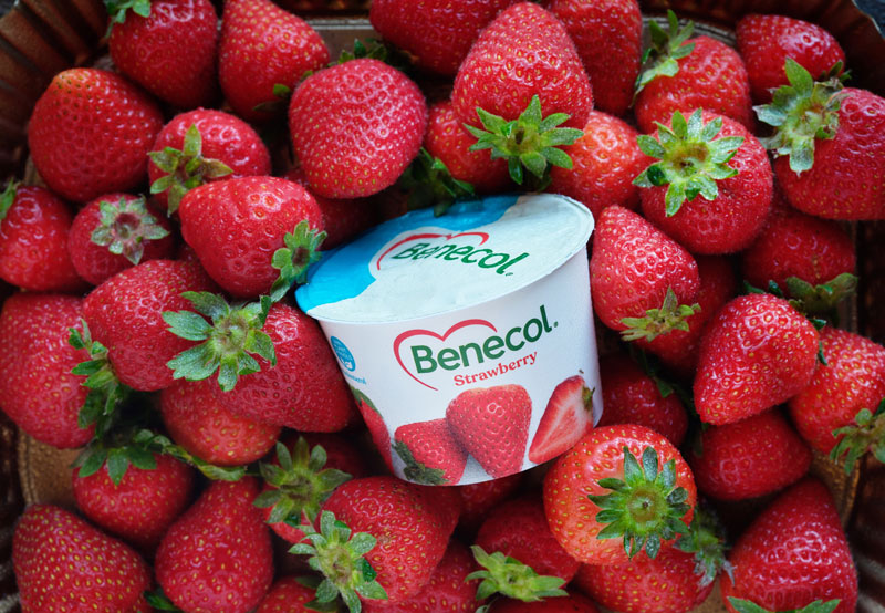 Benecol Strawberry Yoghurt pot lying in a basket of strawberries.